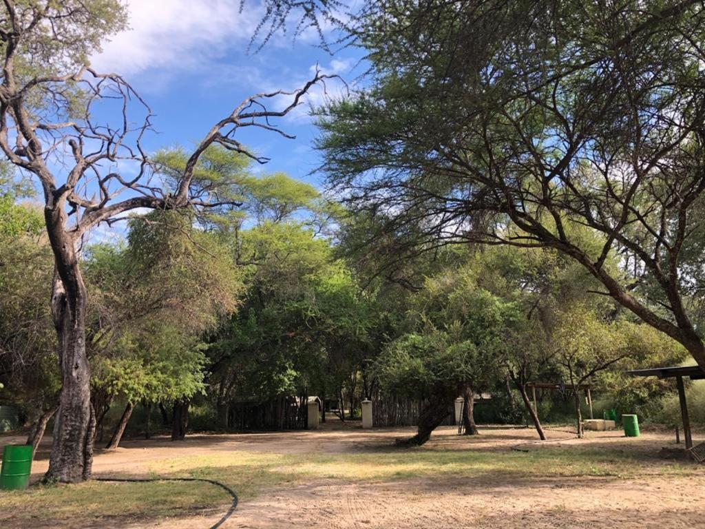 Sitatunga Campsite Maun Exterior foto