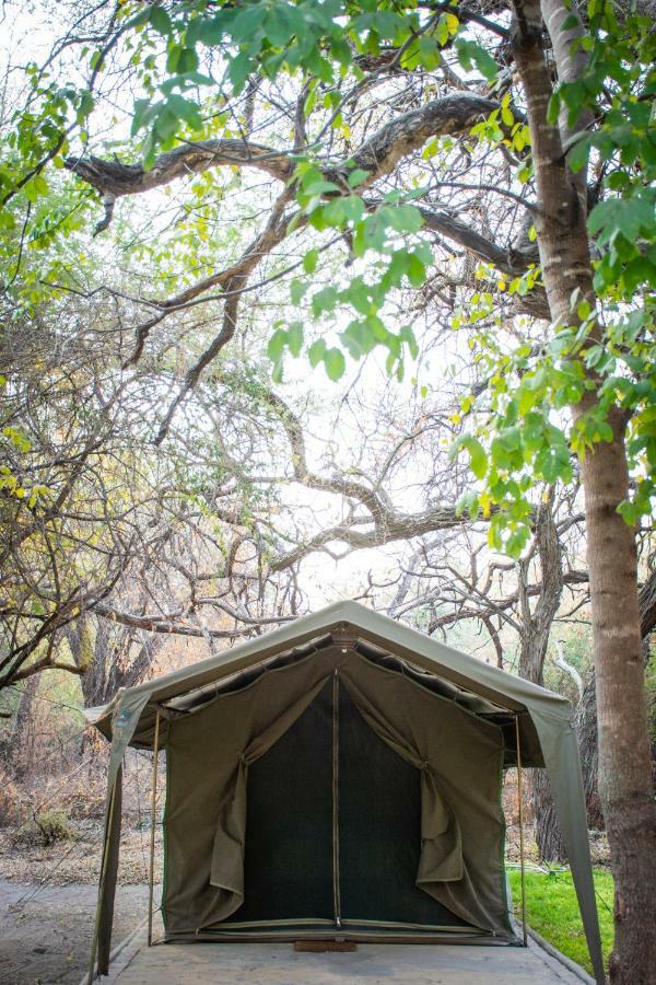 Sitatunga Campsite Maun Exterior foto
