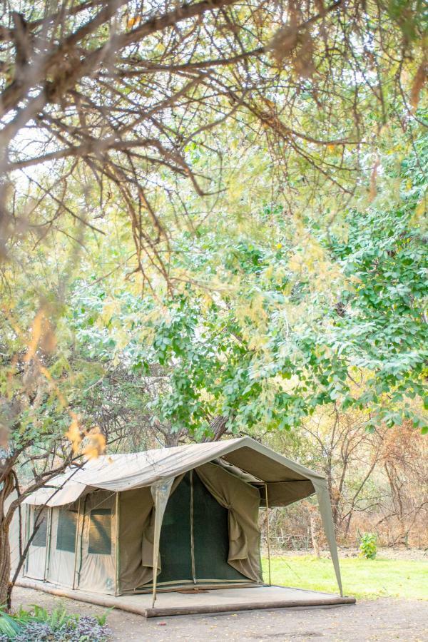 Sitatunga Campsite Maun Exterior foto